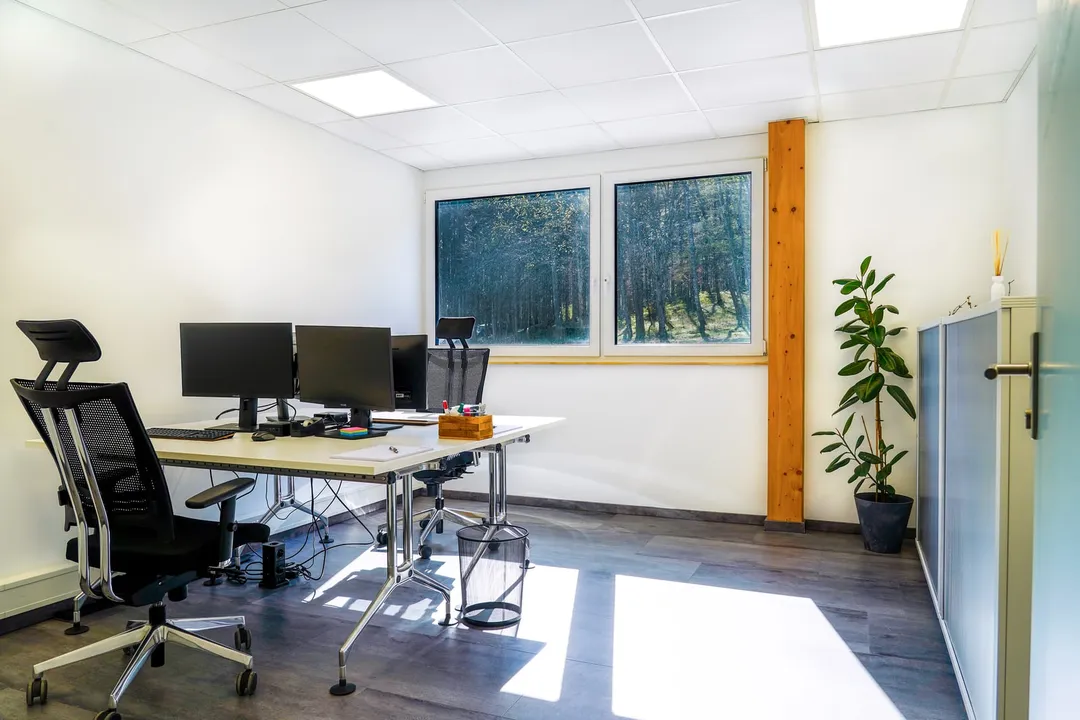 Büroraum mit zwei Schreibtischen, Monitoren und Fenster mit Blick auf den Wald