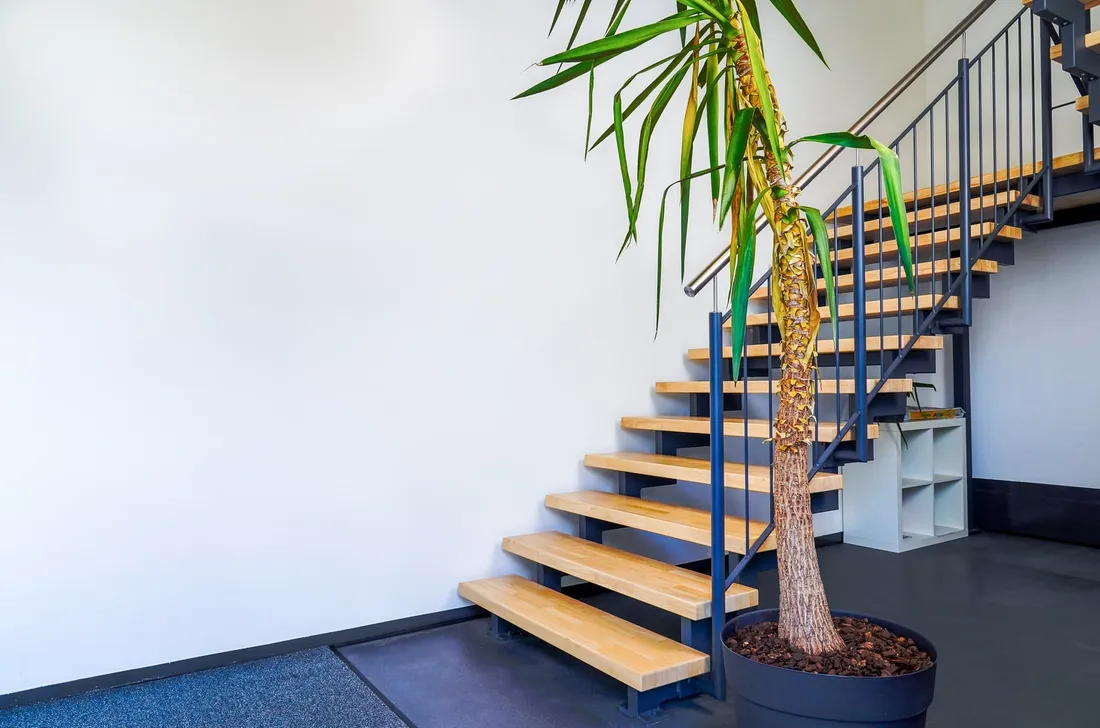 Eingangsbereich des Businesscenters mit Holztreppe und großer Zimmerpflanze